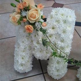 fwthumbFuneral (13).jpg